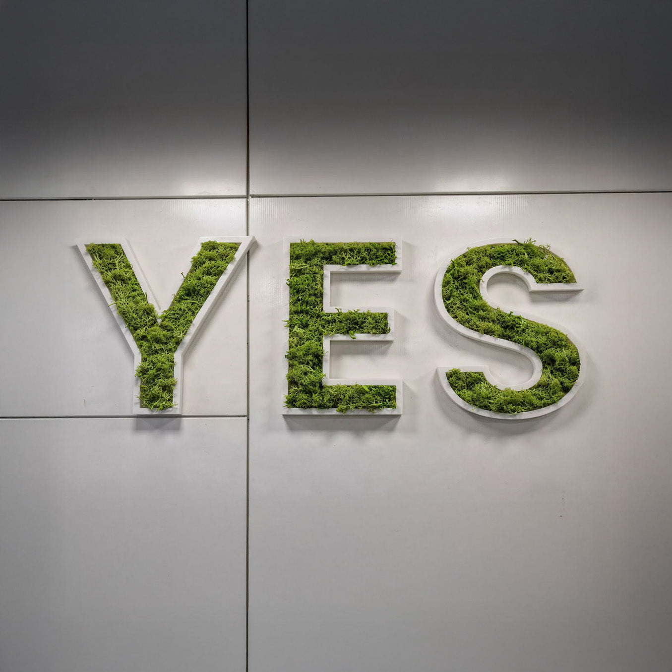 WANDSTARK – Moos Einzelzeichen