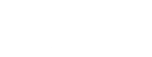bitsweet shop