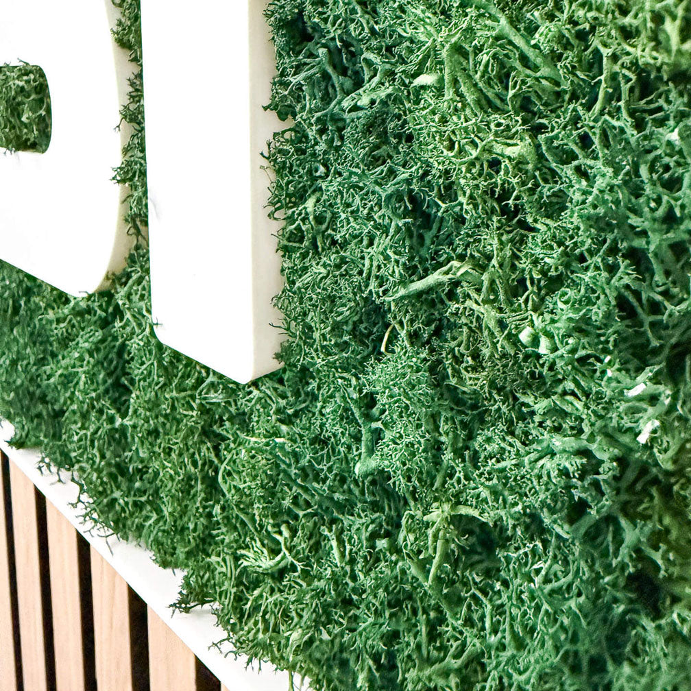 LOGOFORM – Moos Box