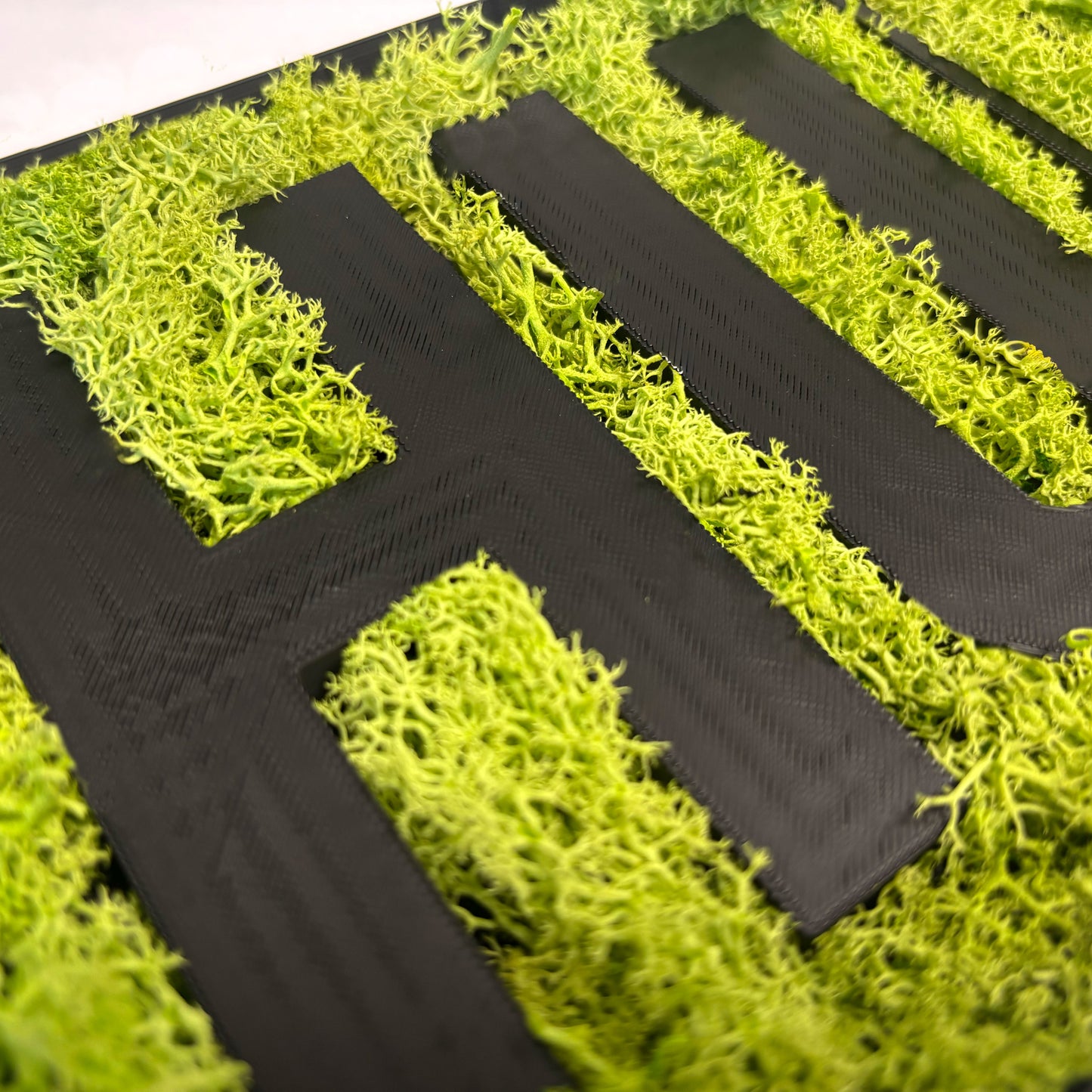 LOGOFORM – Moos Box